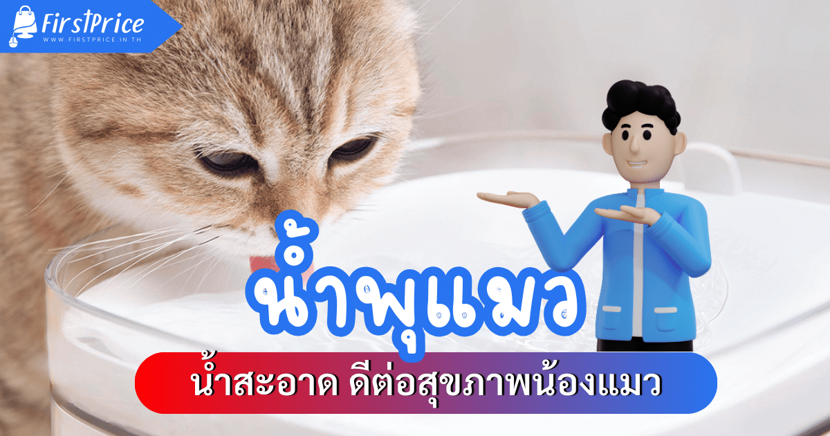 5 อันดับน้ำพุแมว ยี่ห้อไหนดี น้ำสะอาด ดีต่อสุขภาพน้องแมว